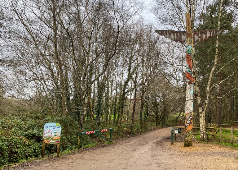 Moors Valley Country Park parkrun Totem Pole